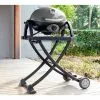 Ziggy Classic Portable Grill LPG BBQ on Folding Cart - Compact & Convenient Outdoor Cooking